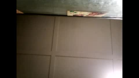 Warwick online show from March 3, 11:22 am