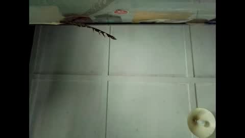 Warwick online show from October 4, 12:41 am