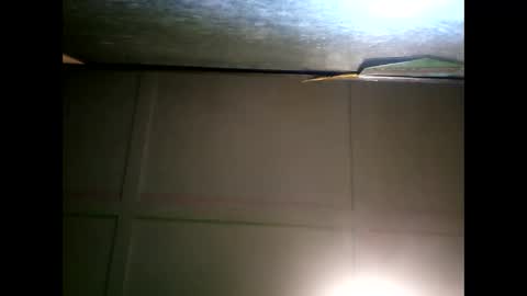 Warwick online show from January 11, 9:47 am