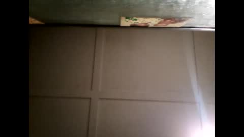 Warwick online show from February 10, 10:31 am