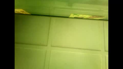 Warwick online show from January 7, 5:43 am