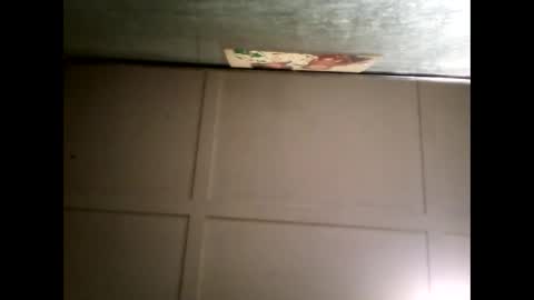 Warwick online show from March 5, 11:49 am