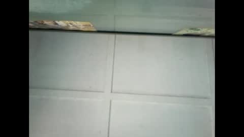 Warwick online show from January 9, 10:09 pm