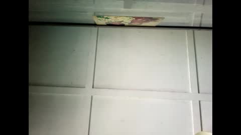 Warwick online show from February 24, 1:02 am