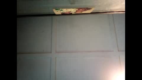 Warwick online show from March 3, 6:37 am