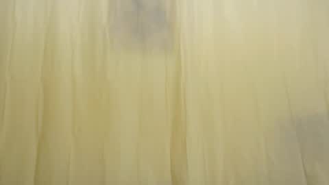 Fun4Tips online show from February 15, 3:28 pm