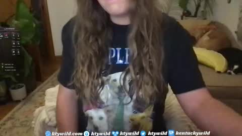   Thank you for visiting I hope you had fun 3 online show from January 7, 11:14 pm