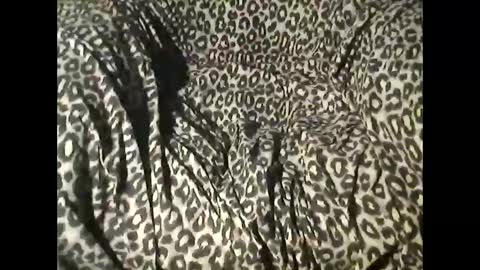 Snapshot of funcyman3 chatting on October 28, 7:04 pm funcyman3 online show from October 28, 7:04 pm