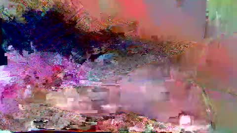 gaby  layla online show from December 23, 1:01 am