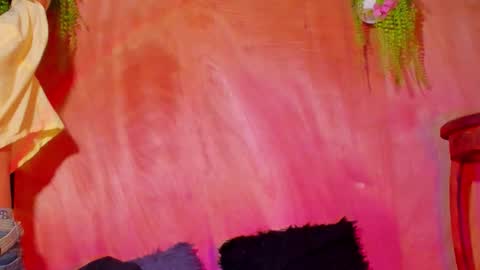 HAN online show from February 3, 1:04 pm