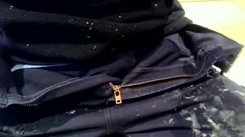 gazjones231 online show from January 6, 12:46 pm