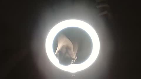 genry_bam online show from December 16, 10:54 am