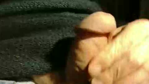 gettingstiff online show from February 18, 3:34 pm