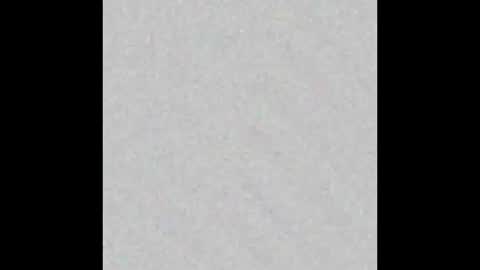 Gia online show from November 3, 12:39 pm