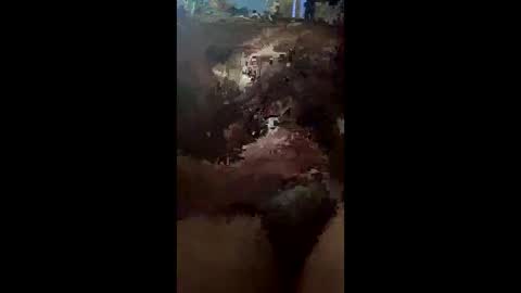 gingerbabyk online show from May 16, 7:27 am