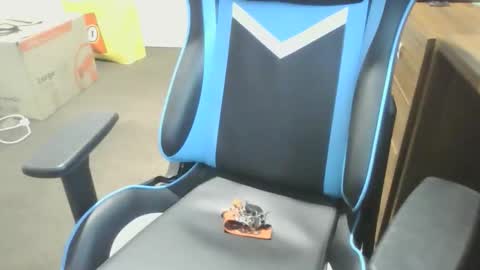 gingerbwc9889 online show from April 27, 6:16 pm