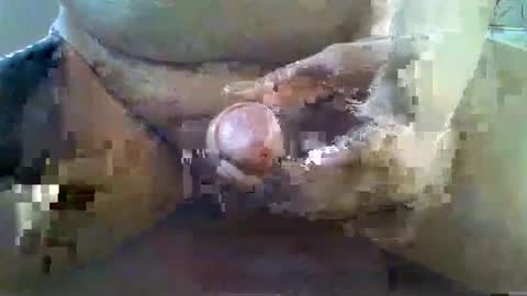 girafsnoop online show from November 22, 9:08 am