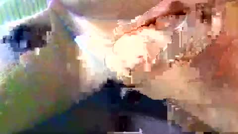 girafsnoop online show from October 26, 10:49 am