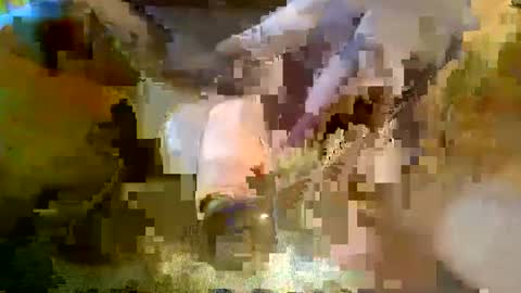 girafsnoop online show from January 5, 9:15 am