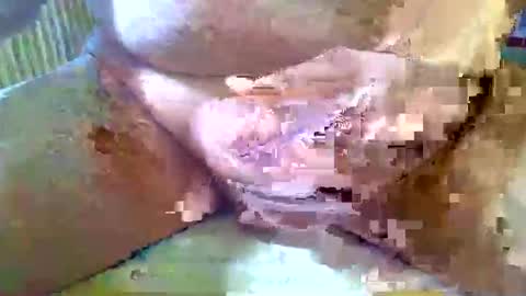 girafsnoop online show from March 29, 9:11 am