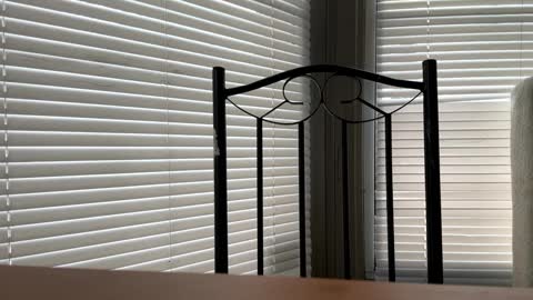 glazehoney online show from January 10, 5:02 pm