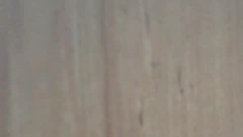 Glyder online show from February 7, 3:41 pm