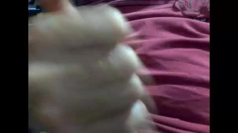 PencilDick online show from February 9, 8:54 am