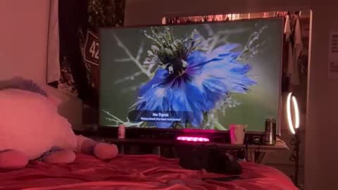 gockinmyrari online show from February 19, 3:49 am