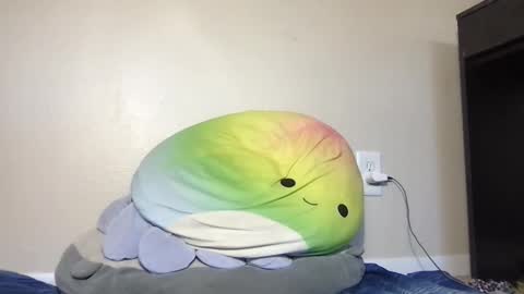 Sky online show from November 16, 4:53 pm