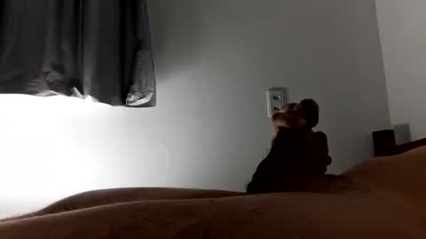 Good boy online show from September 27, 1:53 pm