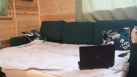 Dave online show from February 1, 12:47 pm