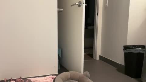 Gracie Mae online show from April 30, 1:21 am