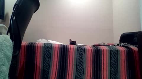 Jack online show from April 11, 7:45 am