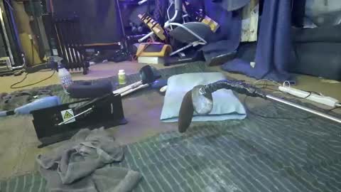 Snapshot of gregbball1 chatting on March 11, 6:52 am electrogee1 online show from March 11, 6:52 am