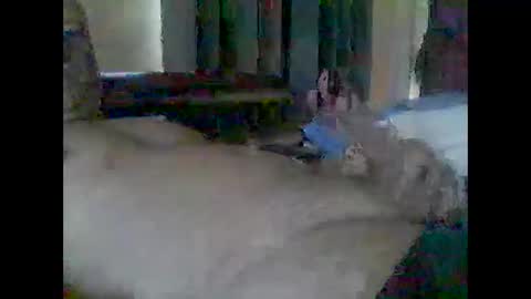 grittslappa online show from February 10, 12:57 am