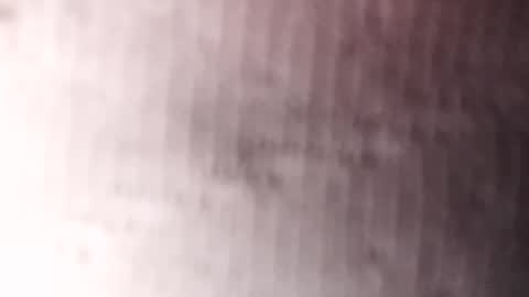 Gu online show from January 20, 3:26 am