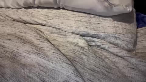 gumbywanna online show from February 9, 3:23 pm