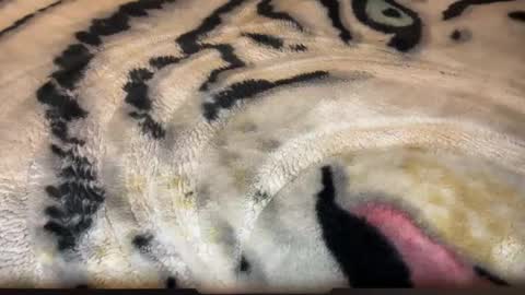 gumbywanna online show from March 2, 6:58 am