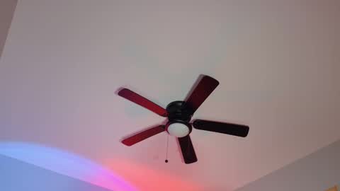  Hailey  online show from March 10, 11:45 am