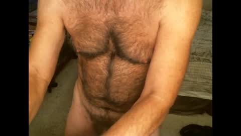 Snapshot of hairypecsguy chatting on October 24, 7:20 am Hairy pecs online show from October 24, 7:20 am