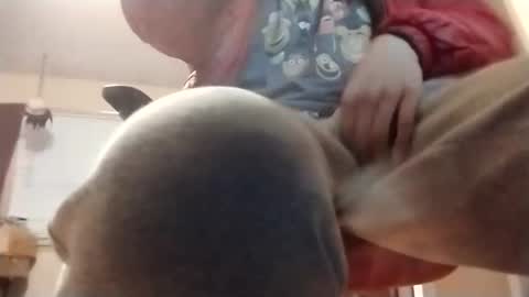 halo3489 online show from March 2, 9:49 am