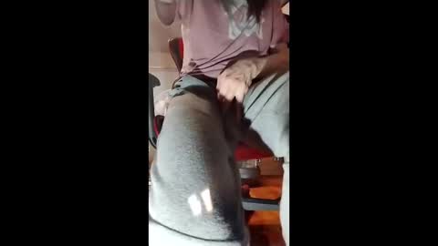 halo3489 online show from March 5, 9:18 am