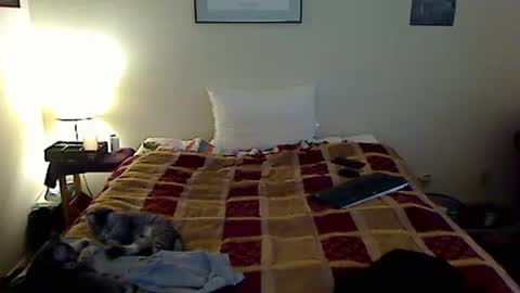 hammerthatthang73 online show from November 7, 7:38 pm