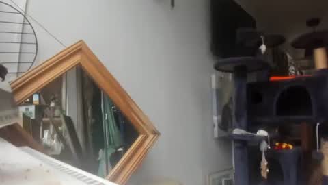 handncocknocum online show from February 8, 9:24 am