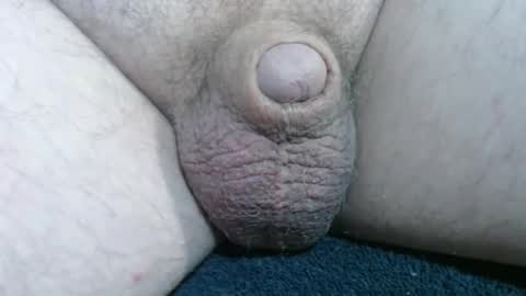 Handyman online show from December 14, 2:12 pm