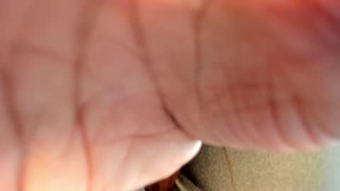 Hanna online show from January 26, 8:56 pm