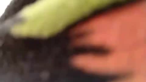 hardandhorny422 online show from December 4, 9:36 pm