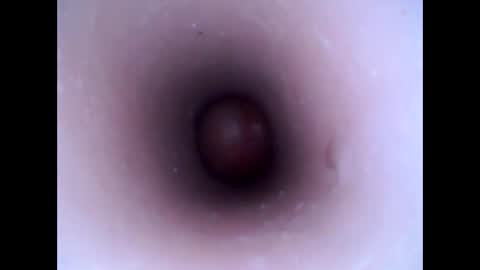 hardhammerboy online show from January 20, 3:28 pm