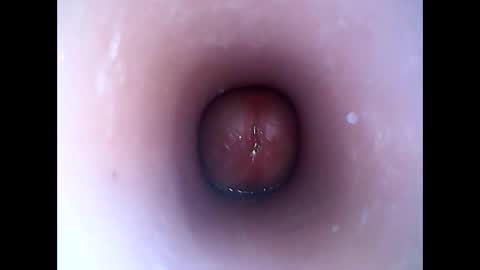 hardhammerboy online show from January 19, 8:19 pm