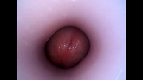 hardhammerboy online show from December 29, 8:26 pm